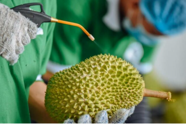 1642584083794858.png image.png