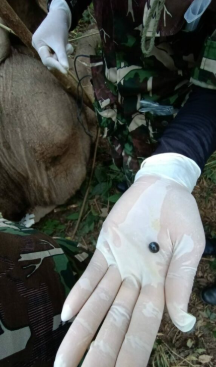 1642909263164280.png image.png