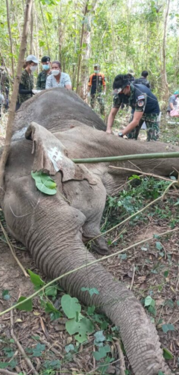 1642909292187387.png image.png